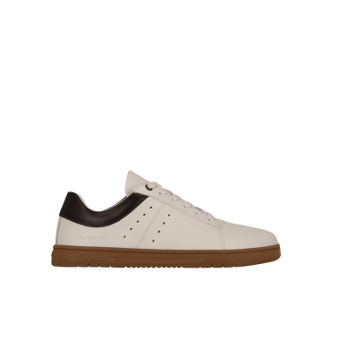 WART19022026155254.png