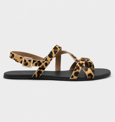 leopardo portada